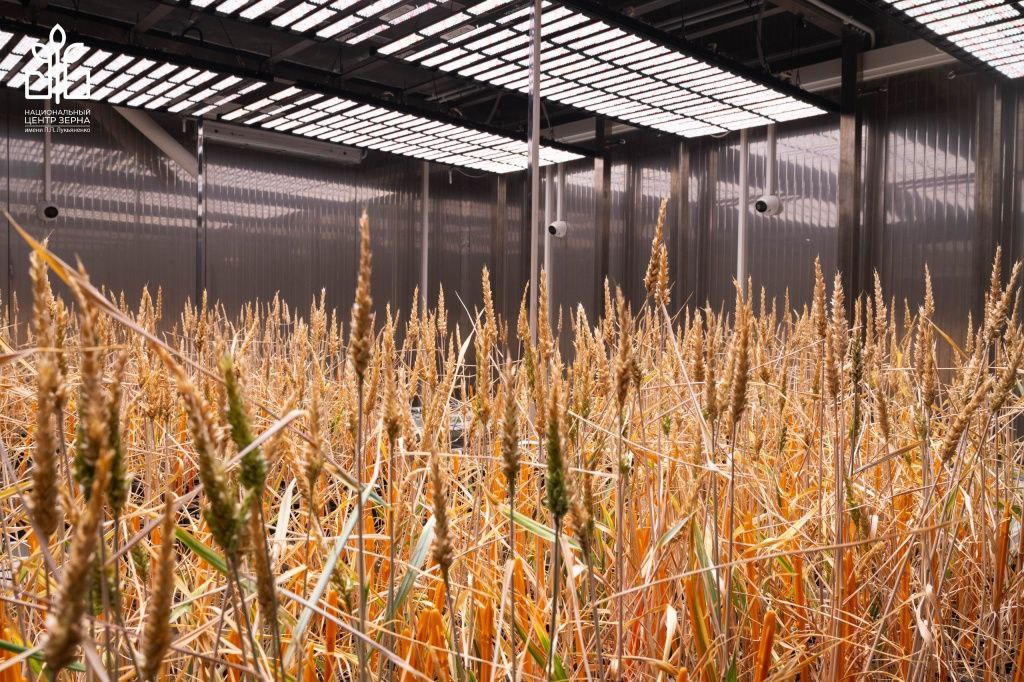 Перспективным для Краснодарского края может стать нацпроект «Технологическое обеспечение биоэкономики» Перспективным для Краснодарского края может стать нацпроект «Технологическое обеспечение биоэкономики»