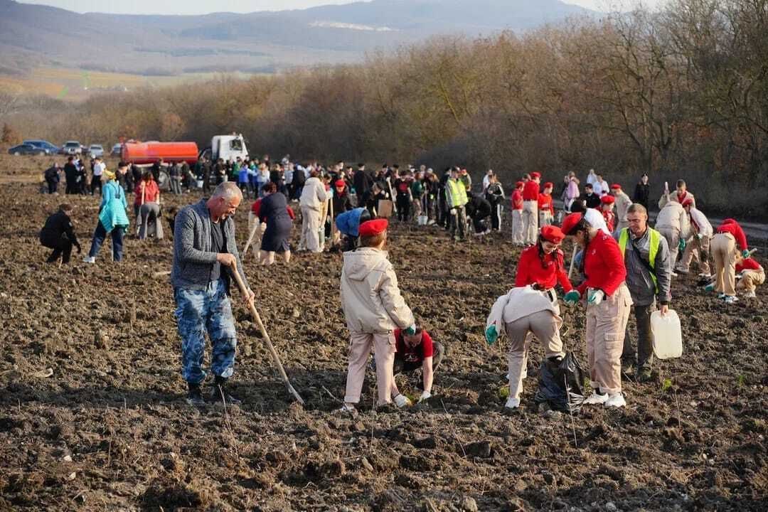 Перспективным для Краснодарского края может стать нацпроект «Технологическое обеспечение биоэкономики» Перспективным для Краснодарского края может стать нацпроект «Технологическое обеспечение биоэкономики»
