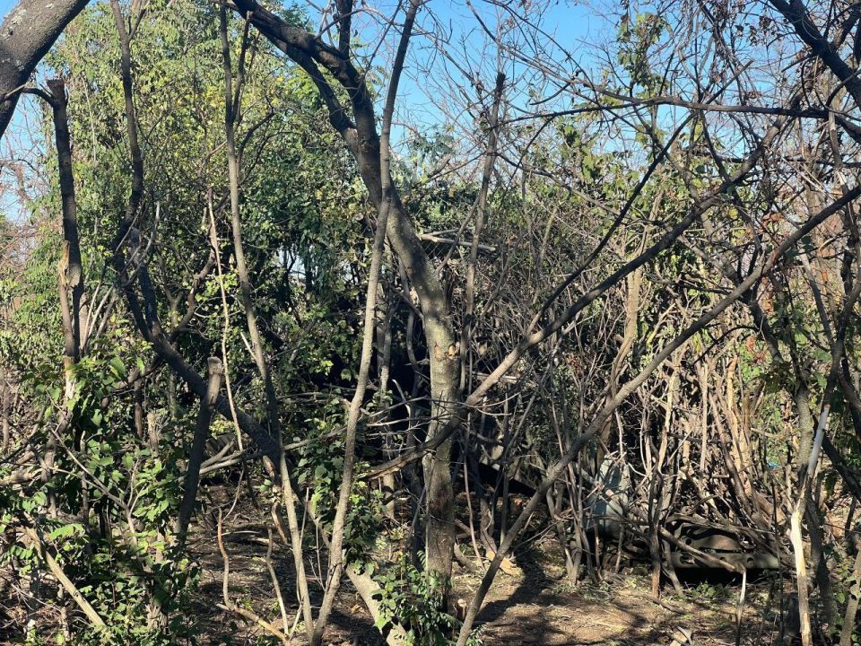 � ������ ������ ��� ���������� �������� � ������� ����