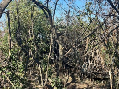 У многих мнение про артиллерию осталось с прошлых войн