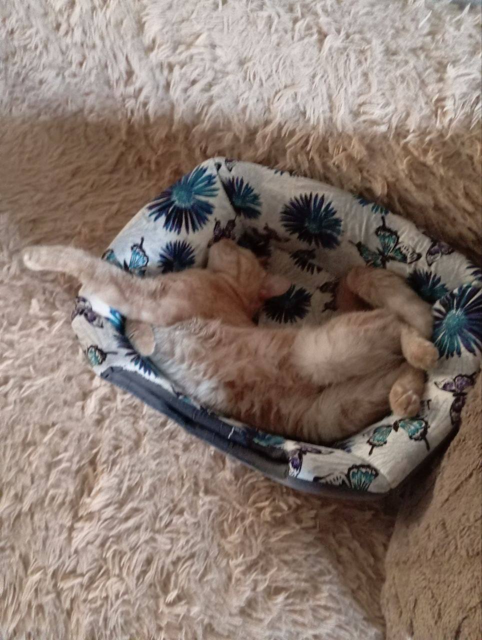 О погоде на 30 ноября. В Краснодарском крае переменная облачность О погоде на 30 ноября. В Краснодарском крае переменная облачность