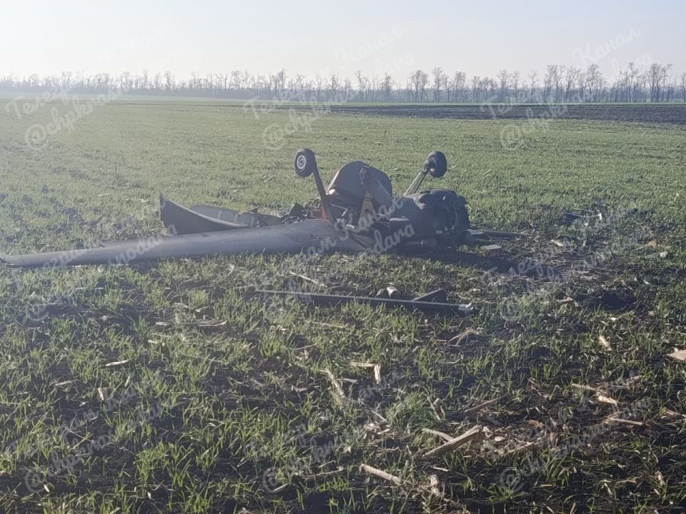 ������ ���������� �����������-��������� �� ����� �������������� ����