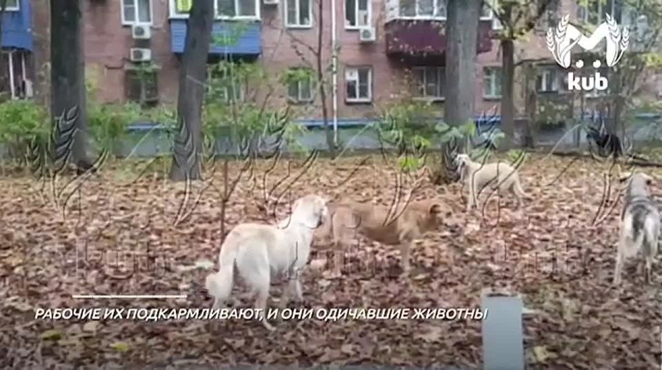 "�������� ����� ������, ������ ��� ��� ����� ��������, ��� �� ��������, ������� ����� �������