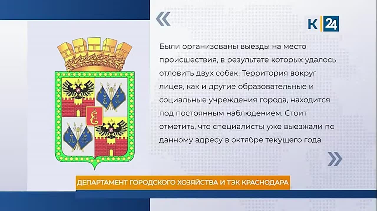Уголовное дело возбудили после нападения собаки на женщину в Краснодаре