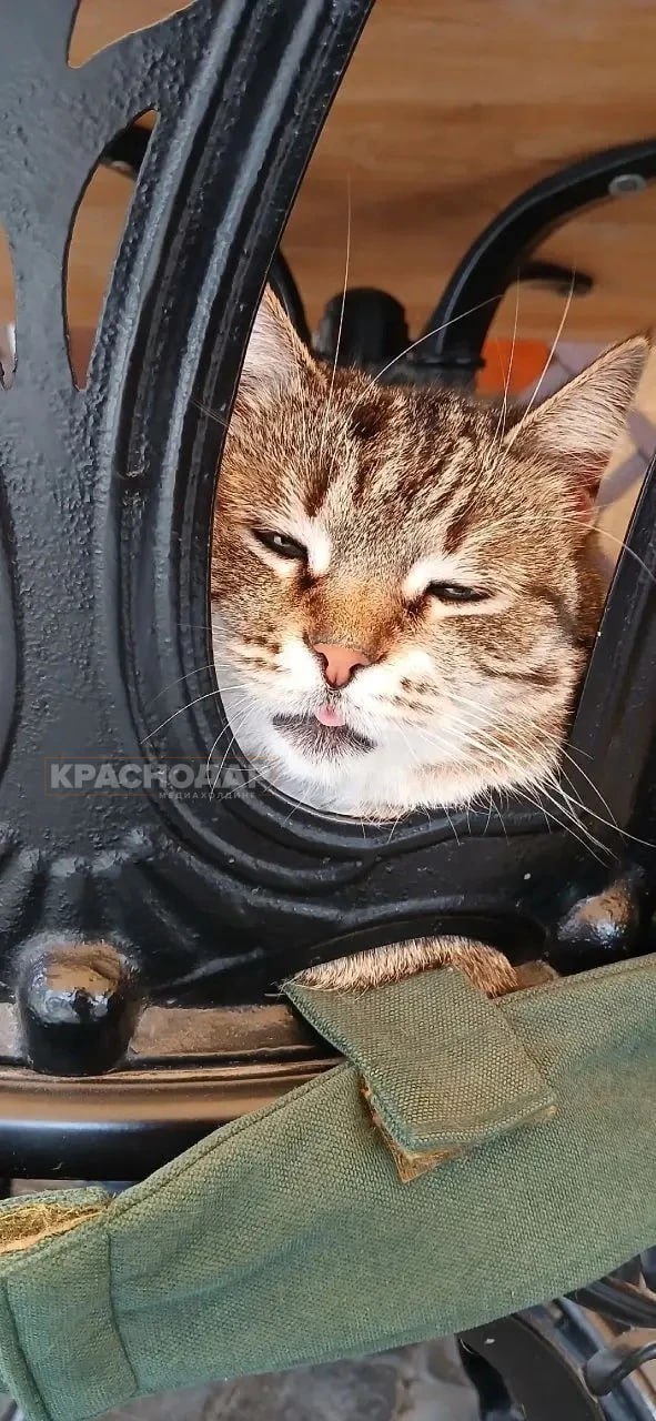 Продолжаем нашу ежедневную рубрику «Краснокадр»