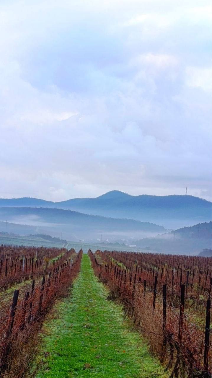 О погоде на 3 декабря. В Краснодарском крае облачно с прояснениями О погоде на 3 декабря. В Краснодарском крае облачно с прояснениями