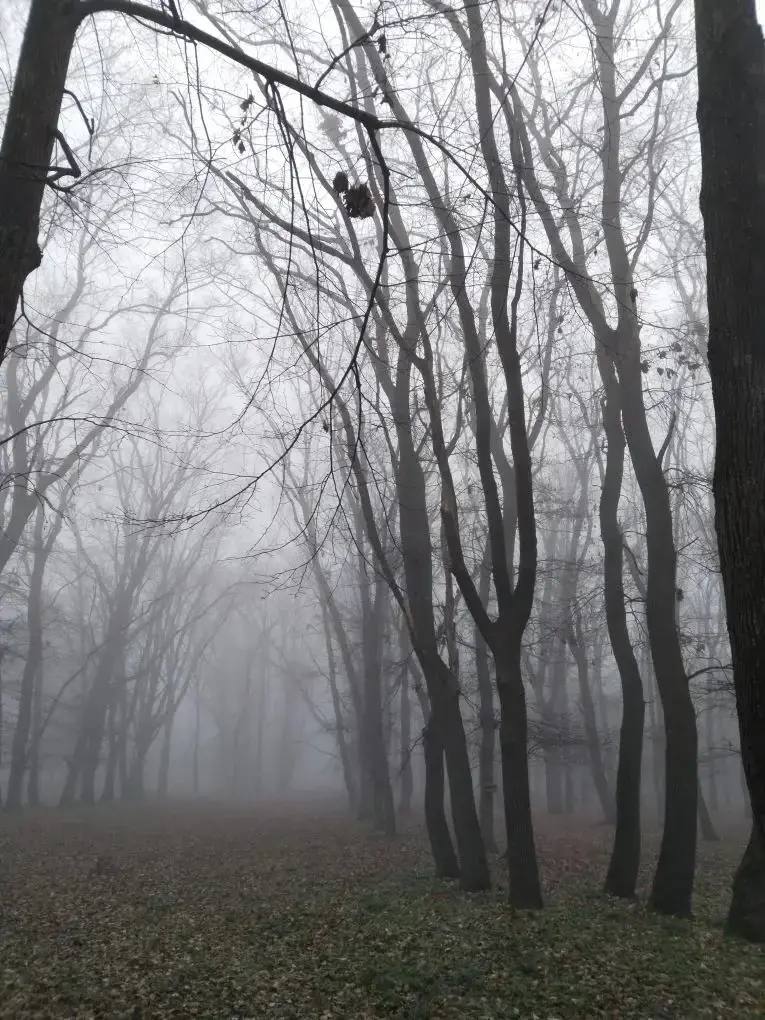 В Ботаническом саду наступила поздняя осень