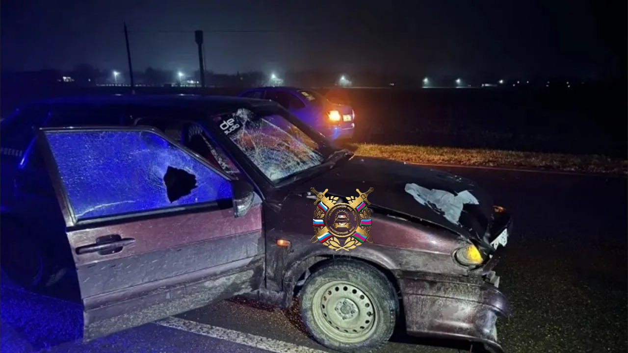 На дорогах Краснодарского края 2 декабря 2025 года сотрудниками Госавтоинспекции зафиксировано: