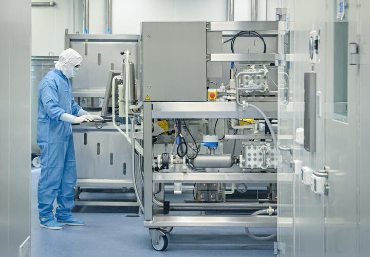 Кубанские учёные создали уникальный биопрепарат, способный защитить зерновые культуры от фузариоза