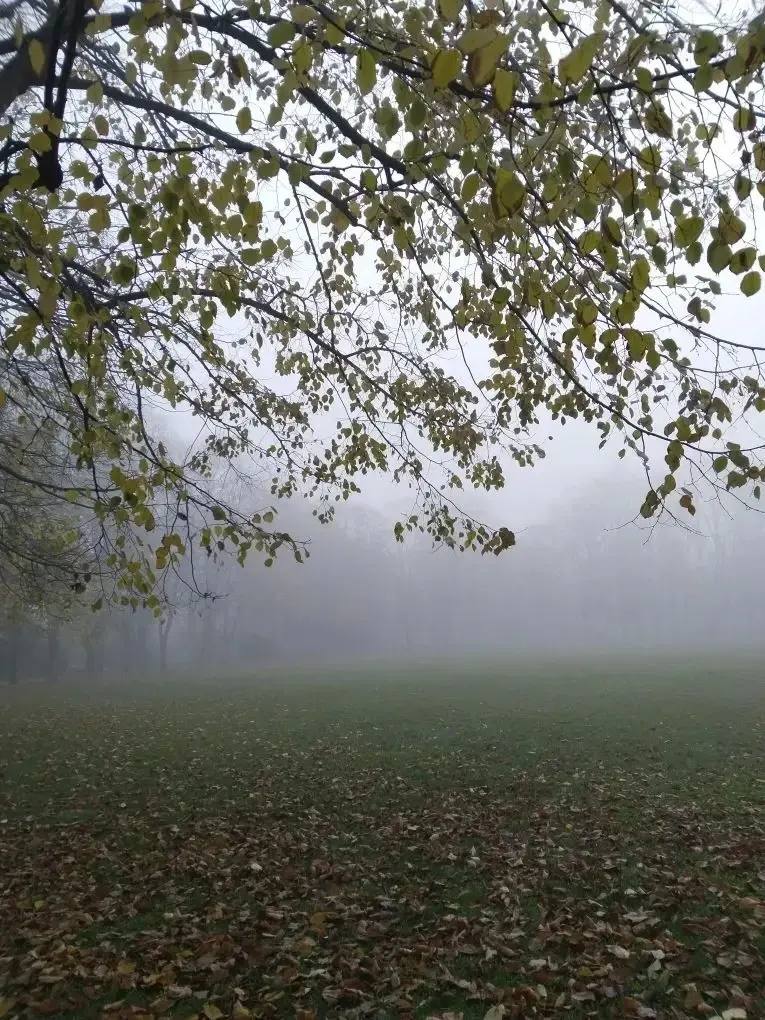 В Ботаническом саду наступила поздняя осень В Ботаническом саду наступила поздняя осень