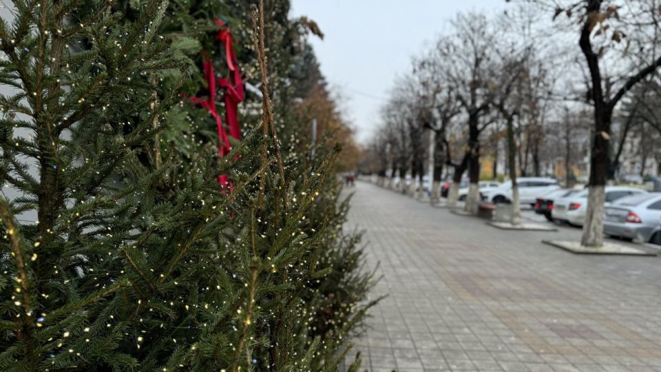 АРМАВИР ПРЕОБРАЗИТСЯ К НОВОМУ ГОДУ