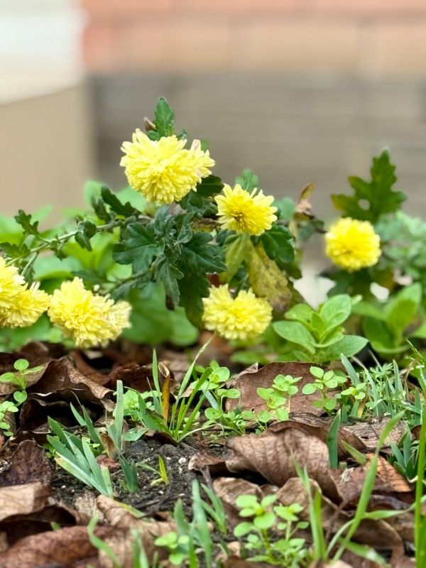 Доброе утро, любимый Ейск!