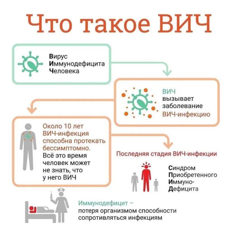 Что важно знать о ВИЧ. Вирус иммунодефицита человека (ВИЧ) разрушает клетки иммунной системы