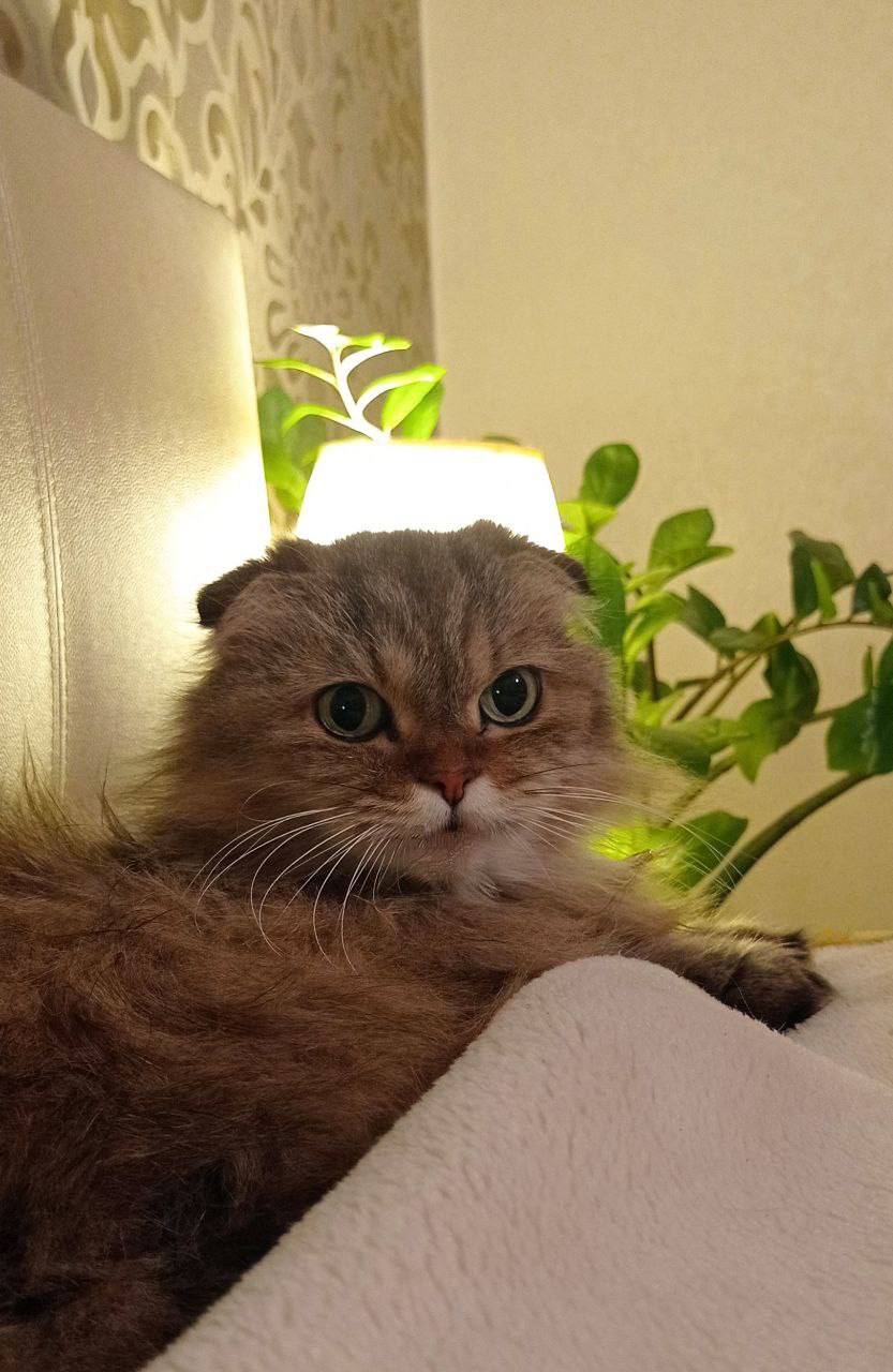 О погоде на 3 декабря. В Краснодарском крае облачно с прояснениями О погоде на 3 декабря. В Краснодарском крае облачно с прояснениями