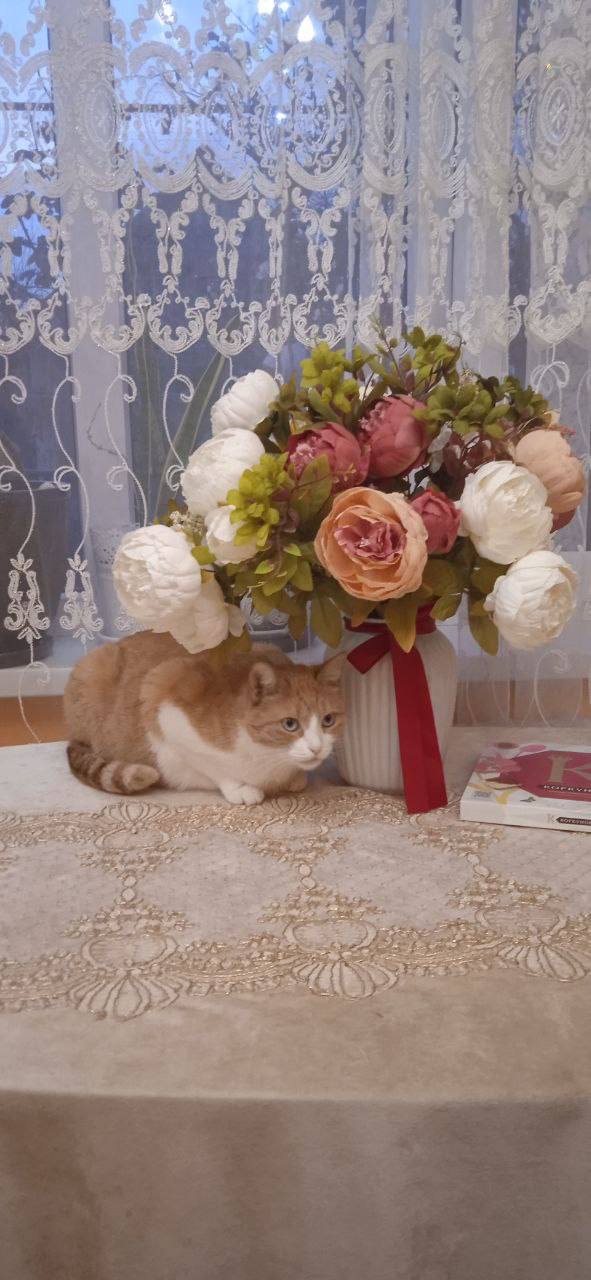 О погоде на 3 декабря. В Краснодарском крае облачно с прояснениями О погоде на 3 декабря. В Краснодарском крае облачно с прояснениями