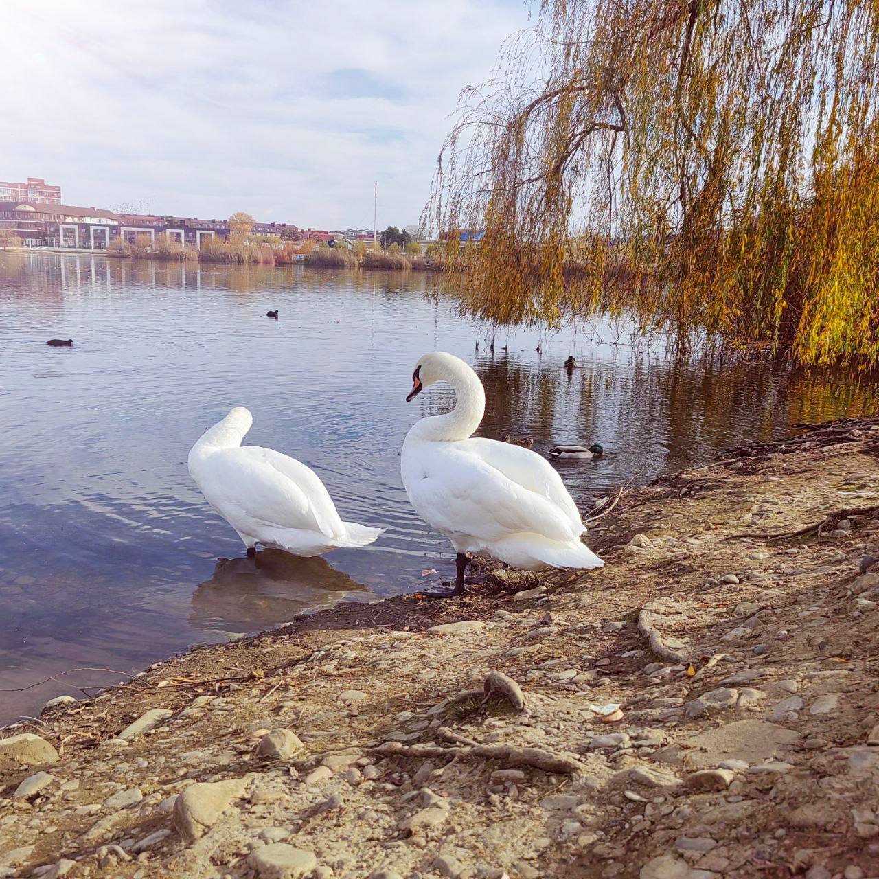 О погоде на 3 декабря. В Краснодарском крае облачно с прояснениями О погоде на 3 декабря. В Краснодарском крае облачно с прояснениями