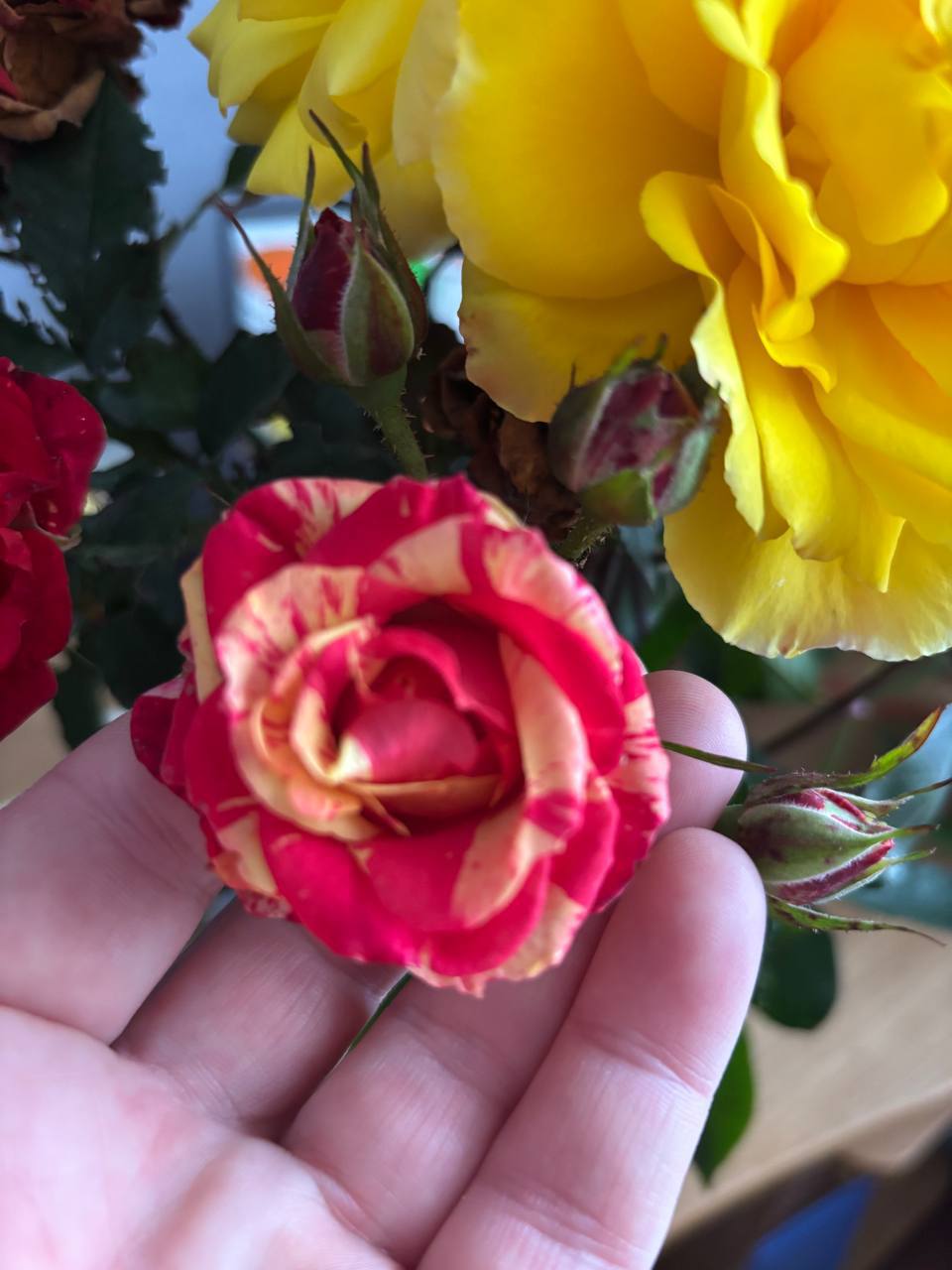 О погоде на 3 декабря. В Краснодарском крае облачно с прояснениями О погоде на 3 декабря. В Краснодарском крае облачно с прояснениями