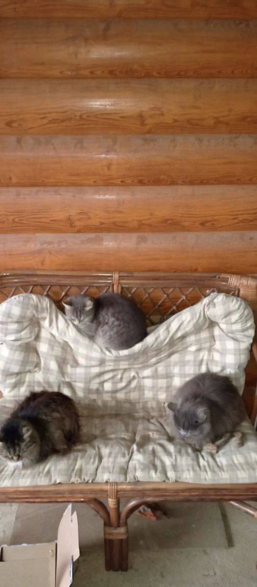 О погоде на 3 декабря. В Краснодарском крае облачно с прояснениями О погоде на 3 декабря. В Краснодарском крае облачно с прояснениями