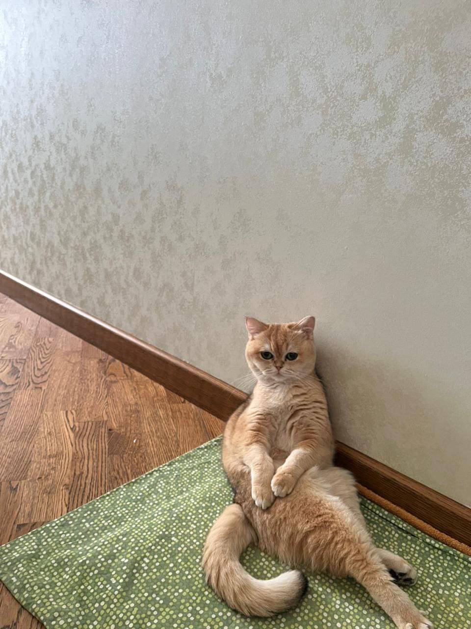 О погоде на 3 декабря. В Краснодарском крае облачно с прояснениями О погоде на 3 декабря. В Краснодарском крае облачно с прояснениями