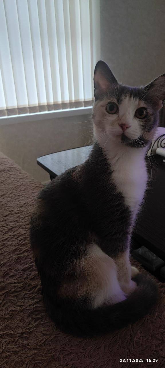 О погоде на 3 декабря. В Краснодарском крае облачно с прояснениями О погоде на 3 декабря. В Краснодарском крае облачно с прояснениями