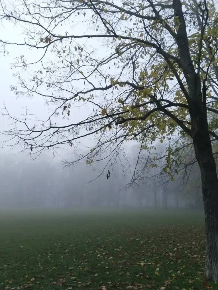 В Ботаническом саду наступила поздняя осень В Ботаническом саду наступила поздняя осень