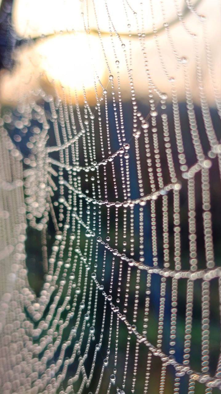 О погоде на 3 декабря. В Краснодарском крае облачно с прояснениями