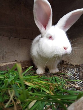 О погоде на 4 декабря. В Краснодарском крае переменная облачность