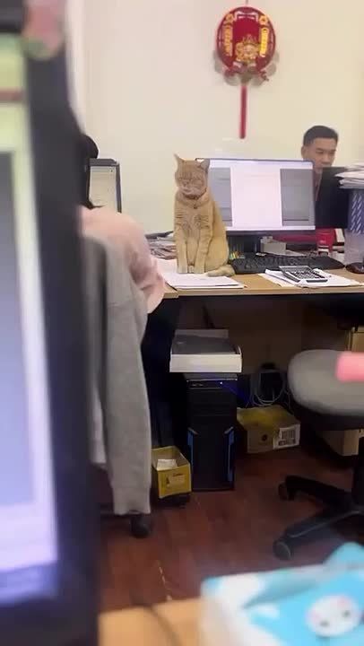 Обстановка на работе в четверг