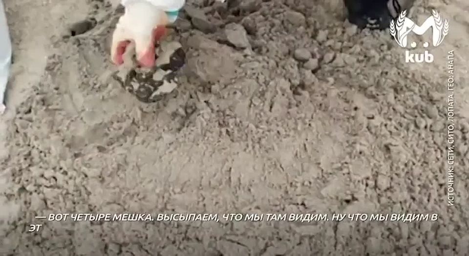 Анапские волонтеры от муниципалитета распихивают по мешкам чистый песок вместо грязного