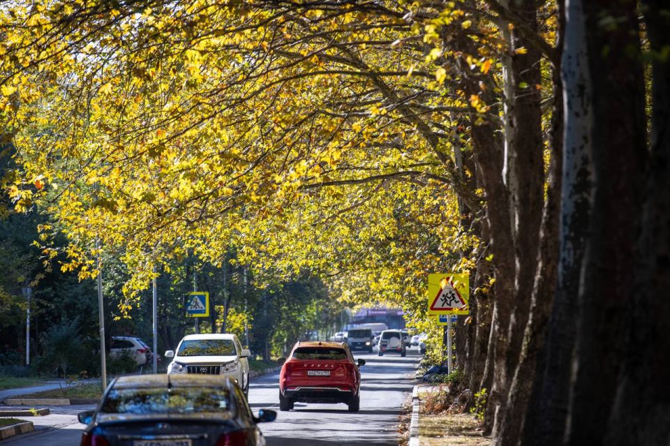 У зимы без осадков есть свой плюс