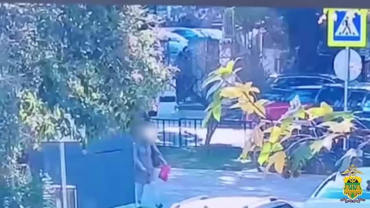 Гламурный и богатый чемодан