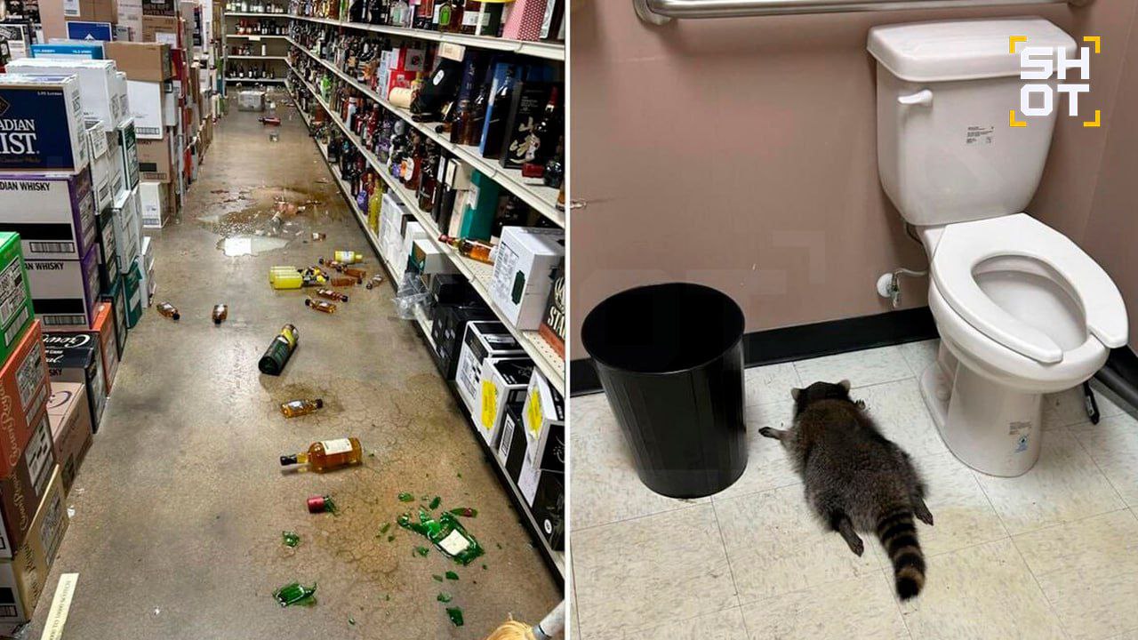 Дебошир устроил погром в алкомаркете и пьяным уснул в туалете