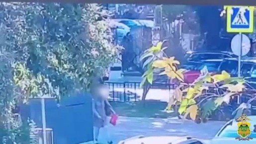 Приключения желтого розового чемоданчика