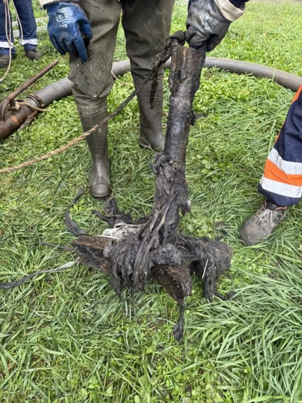 ����������� ����� ������� �� ����������� � ����������