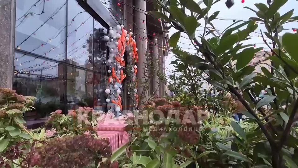 Вместо ёлки – раки!. Заведение повесило необычное украшение