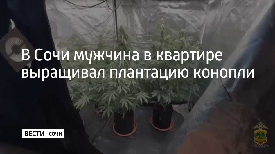 ���������� ������ �� �������� �� �������� ���������� ��� �� �. ���� ��������� 48-������� ���������, ������� ��������� ������� � �������� � ���������� ������ �������