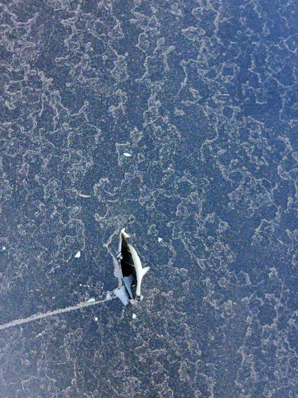 ������� ��������� �������, ������� ����� �������� ������ � ����������