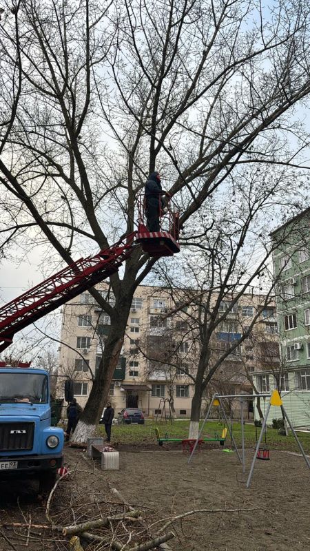 Ул. Октябрьская, 288 - обрезка сухих веток над детской площадкой