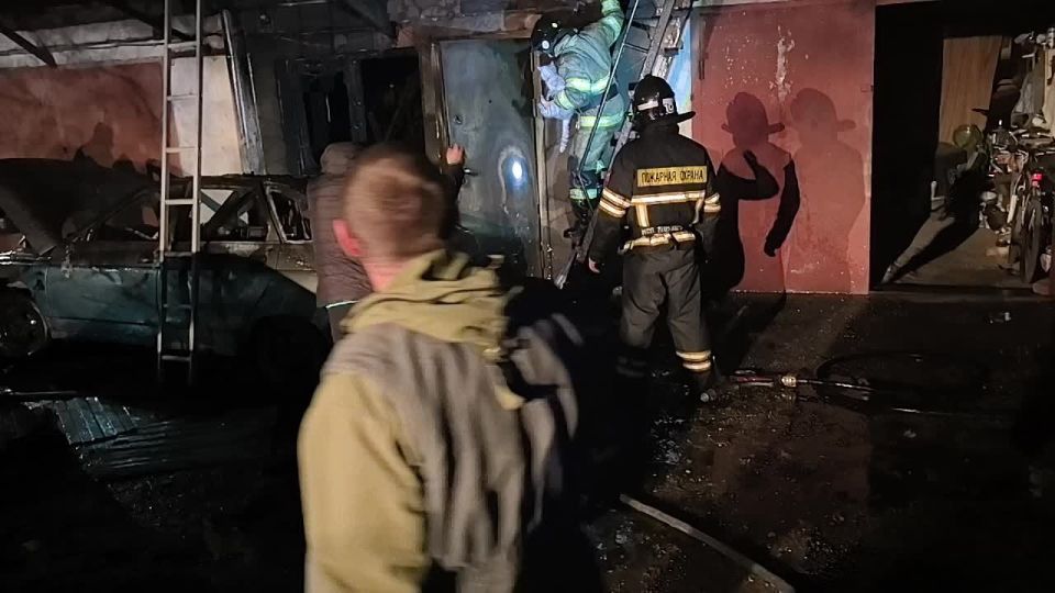 Спасатели вытащили котика из пожара