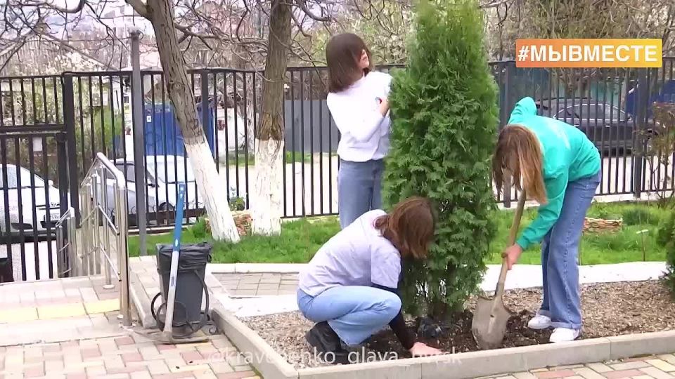 Андрей Кравченко: Самые бескорыстные и отзывчивые – волонтёры Новороссийска