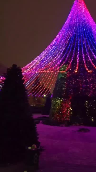 Новогодняя елочка на Красной в Краснодаре уже радует праздничным светом