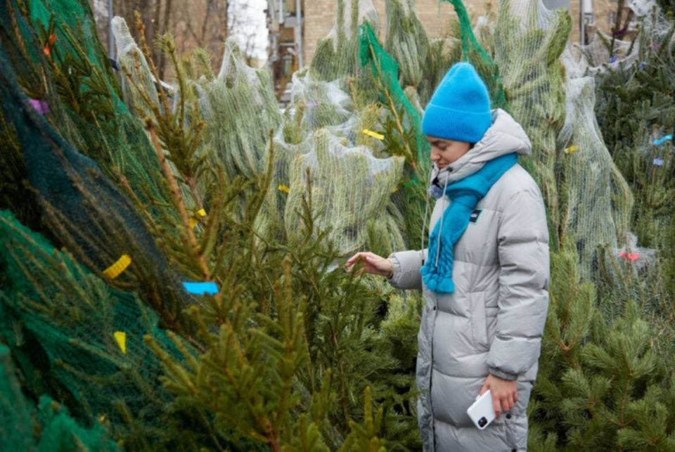 ������� ����� ��� �� ��� ����� ���������� ������� �� 5 ����� ������