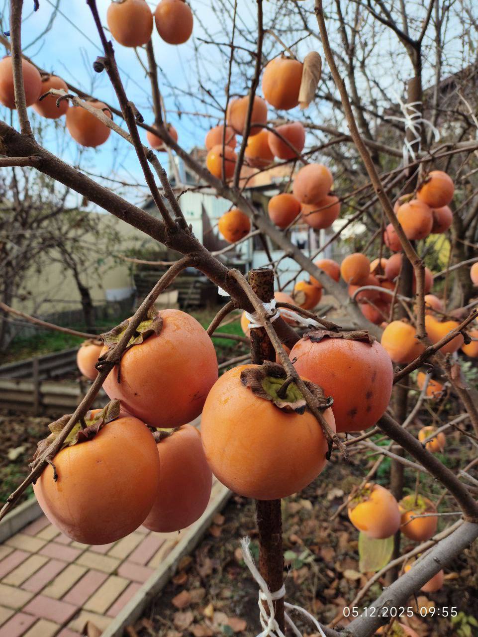 О погоде на 6 декабря. В Краснодарском крае облачно с прояснениями О погоде на 6 декабря. В Краснодарском крае облачно с прояснениями