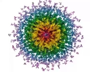   :.                          ...