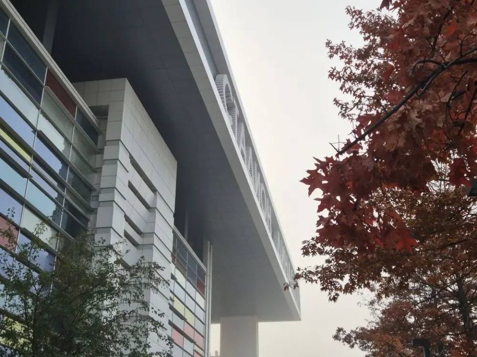 ������ ����� �������� �������