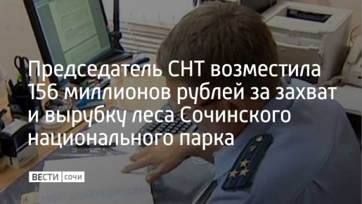 Сочинская межрайонная природоохранная прокуратура Краснодарского края провела проверку соблюдения лесного законодательства на территории Сочинского национального парка