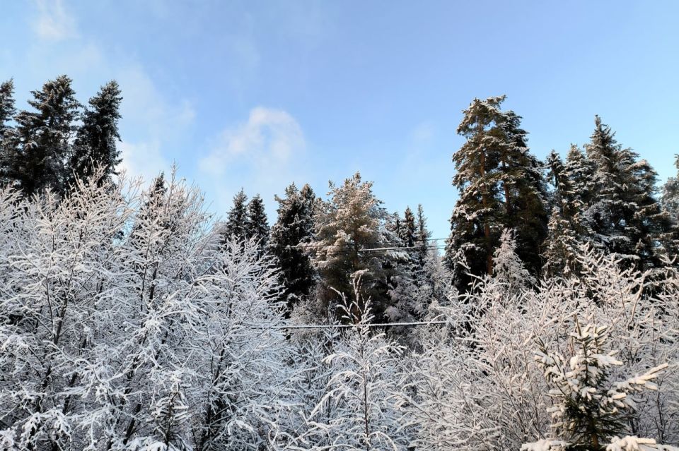 В европейской части России наблюдается экстремально мало снега