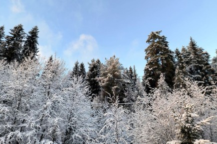 В европейской части России наблюдается экстремально мало снега