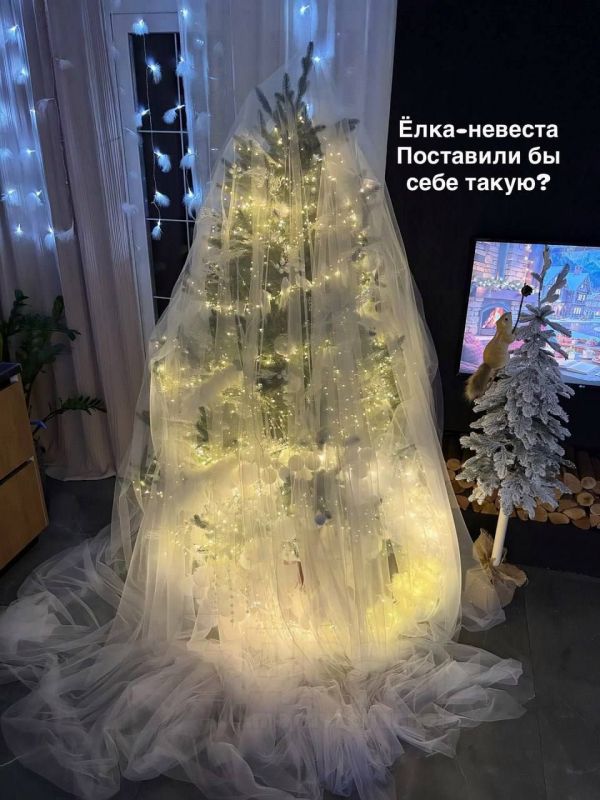 �����-������� � ���������� ����� 2026