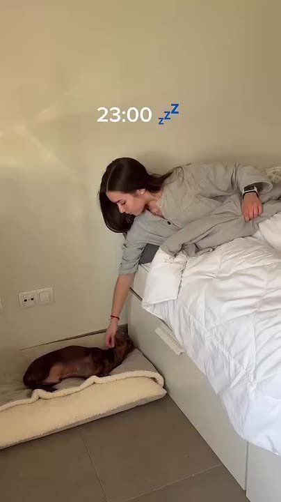 Ну и на сон грядущий...